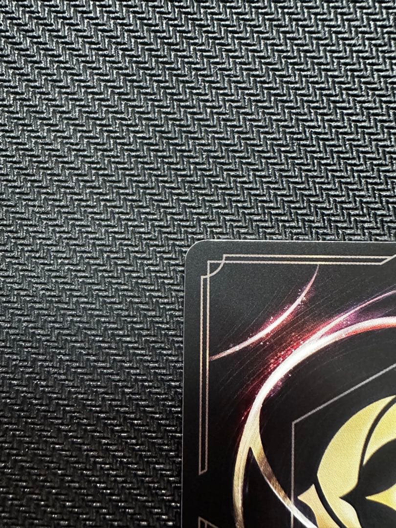 エルサ　エンチャンテッド　日本語1枚