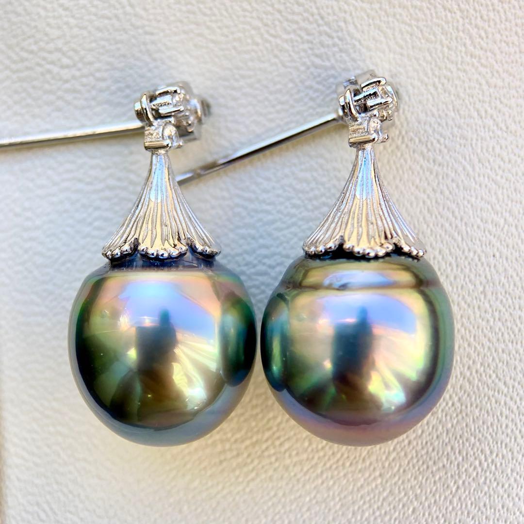 本真珠南洋黒蝶真珠グリーン虹色13.5×11.5㍉ピアスBL913