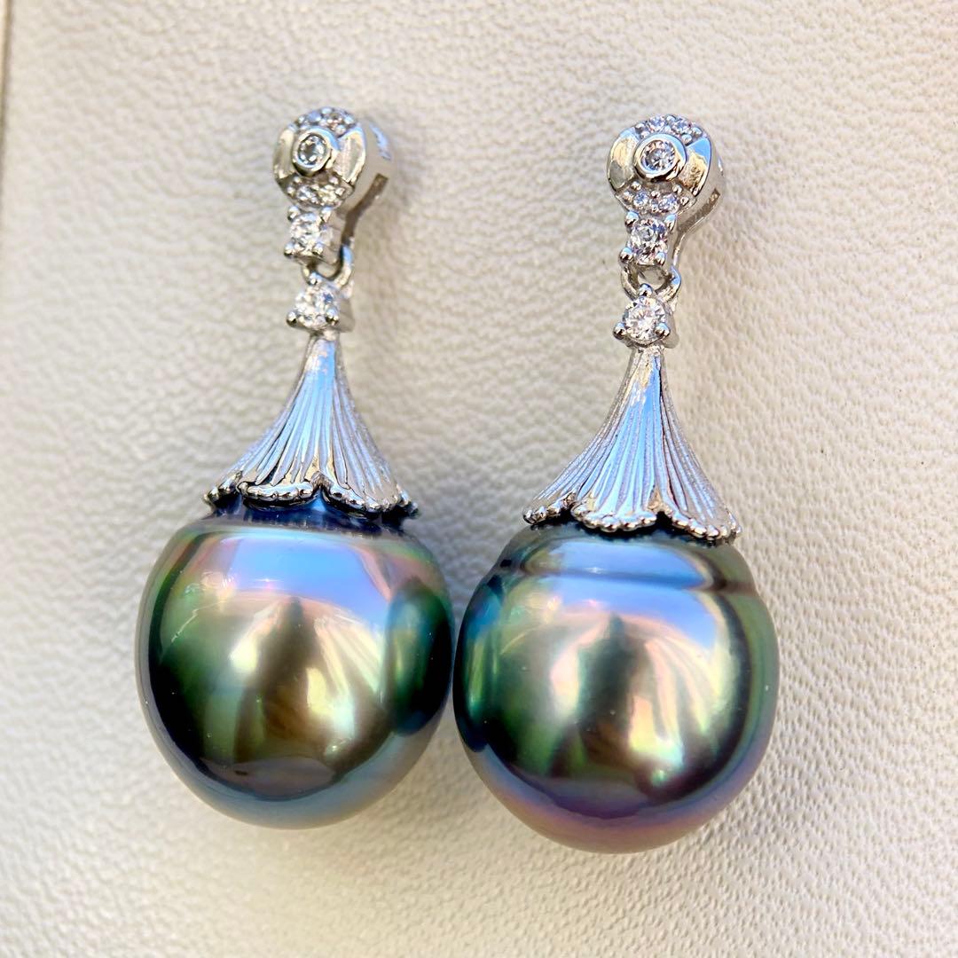 本真珠南洋黒蝶真珠グリーン虹色13.5×11.5㍉ピアスBL913