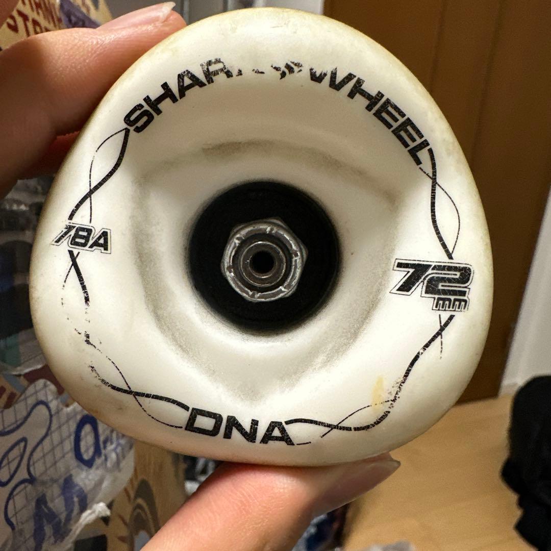 5BORO スケートボード　クルーザー　コンプリートデッキ