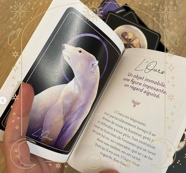 【正規品ルノルマンカード】水墨画の超美麗デッキ✨カササギルノルマン／ピンクエッジ