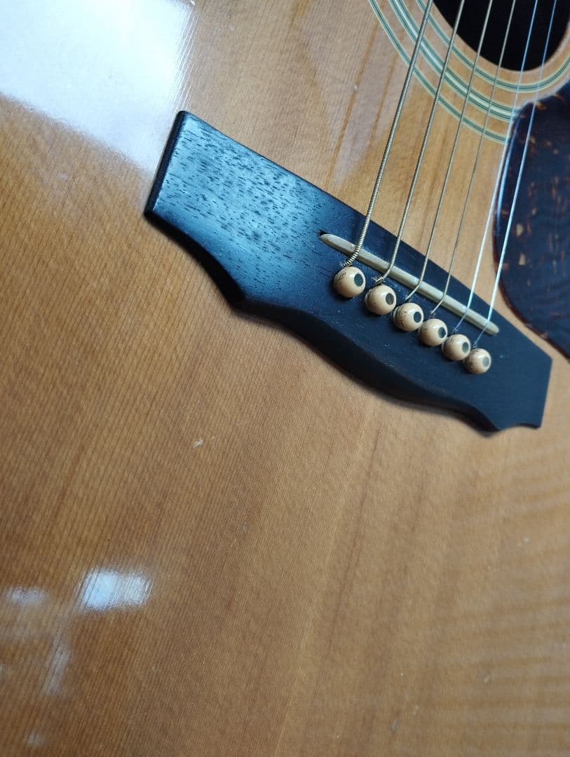 マウンテン＜W-450＞日本製・林楽器製作・トップ単板 guildタイプ