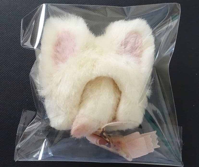 kumukuku　おみみ