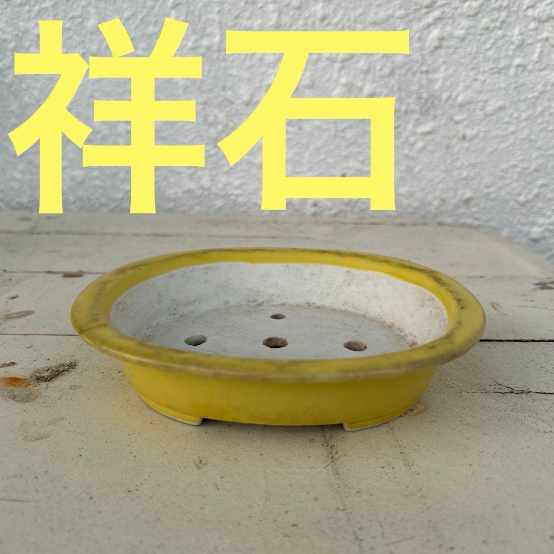 石田祥石　楕円　盆栽鉢