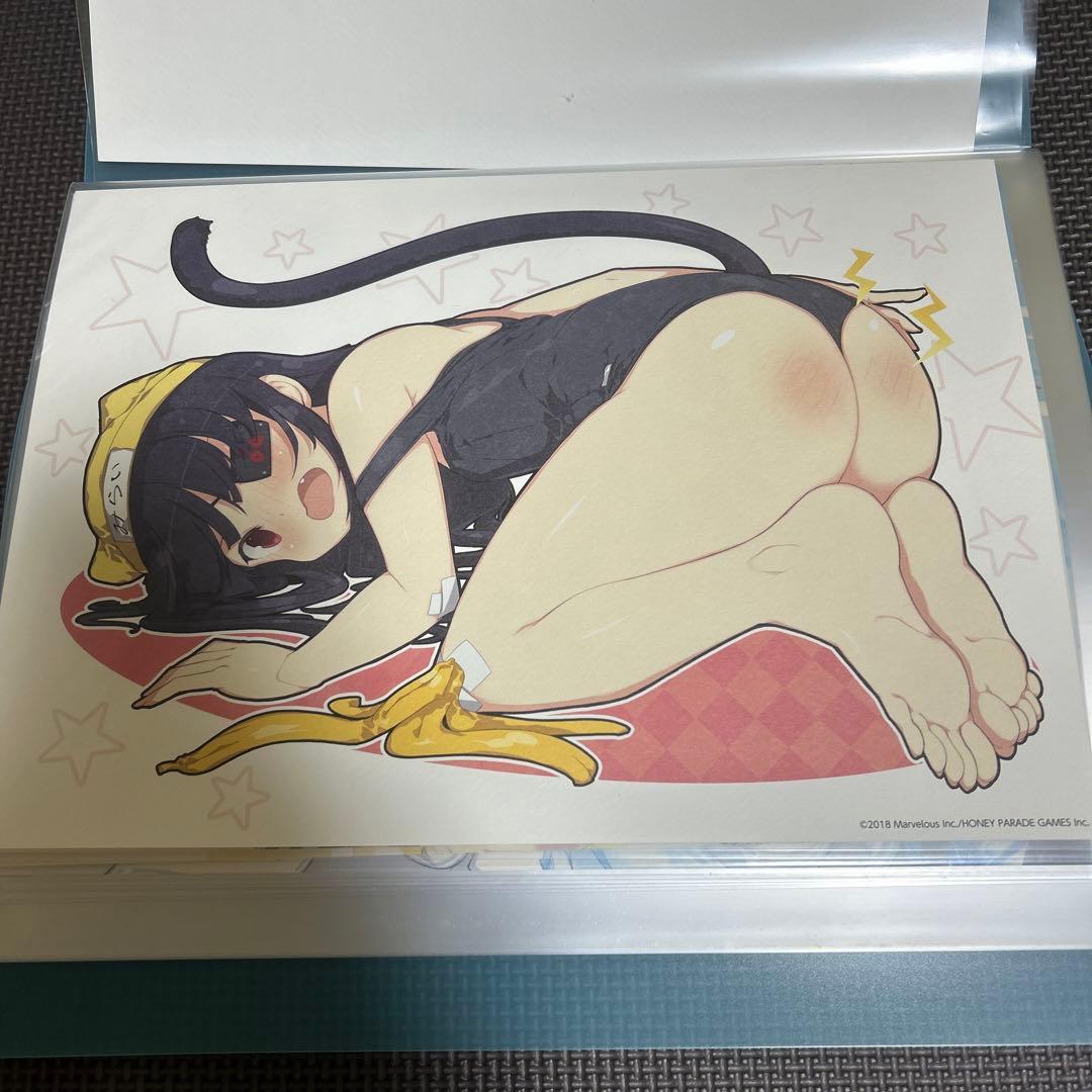 閃乱カグラ ポートレート 6枚セット