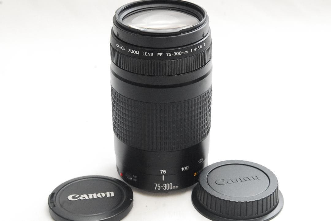キャノン/望遠レンズ/Canon EF75-300㎜1:4-5.6Ⅱ