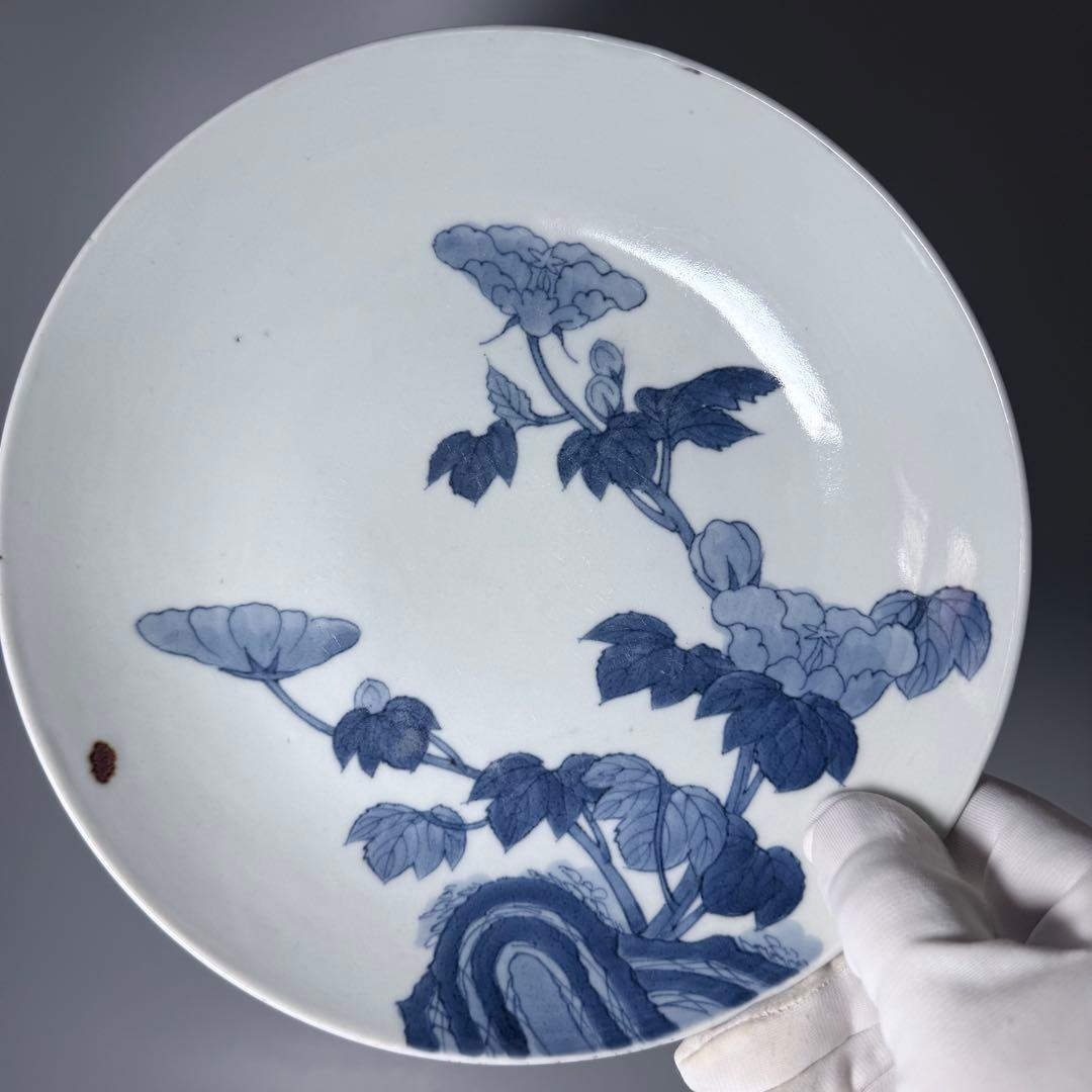 後期鍋島　染付芙蓉文中皿　六客　江戸後期〜明治初期　同手図録掲載品　20.7cm