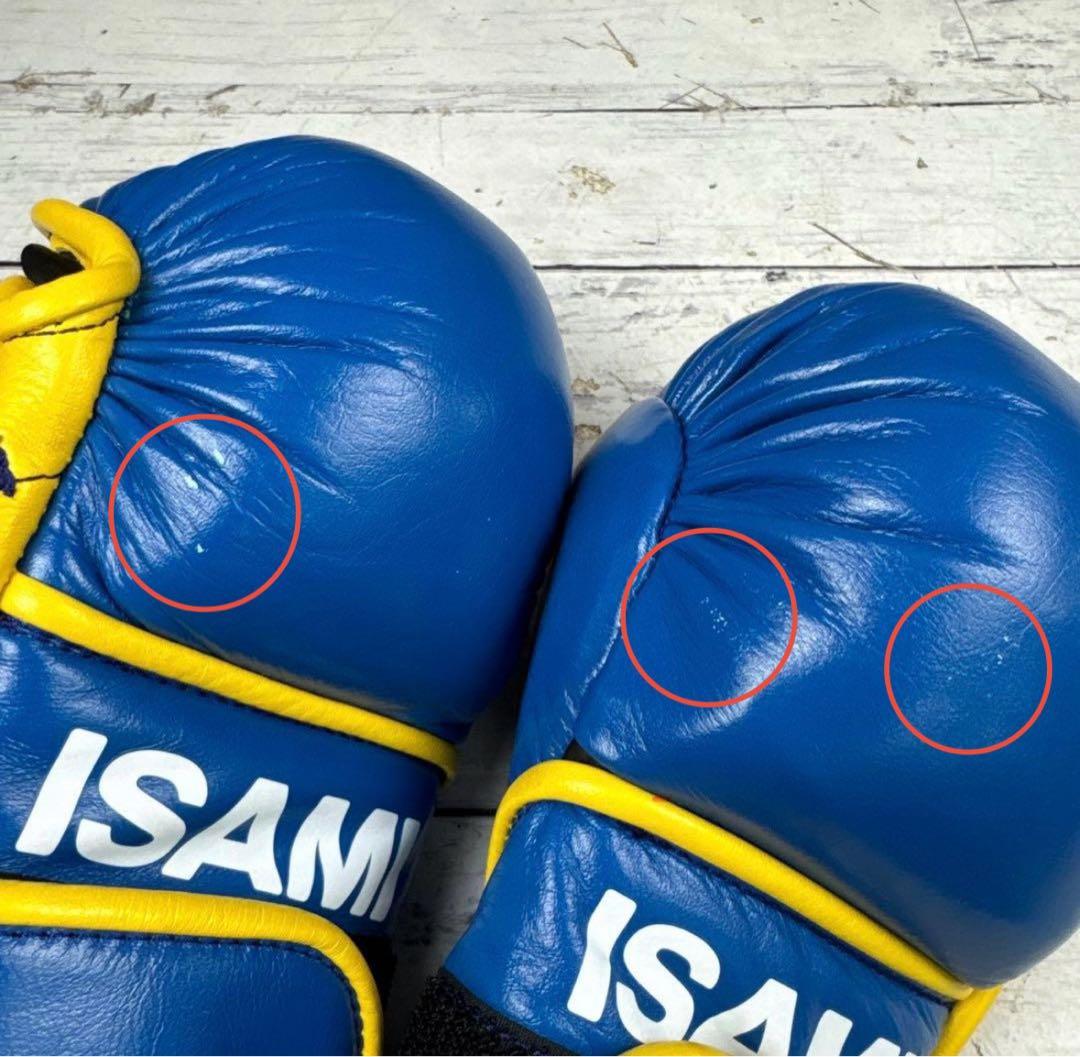 ISAMI パウンドグローブ グローブ フリーサイズ ボクシング 格闘技