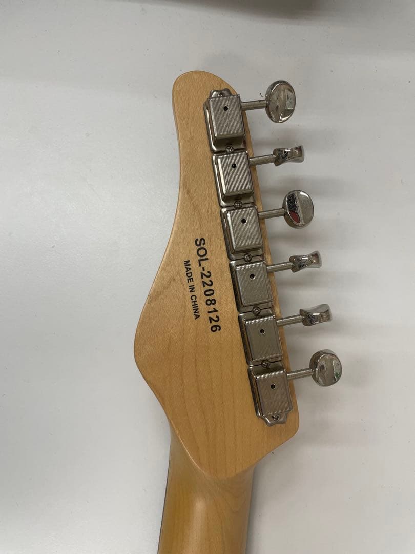 限定生産モデル Schecter OL-PT-TH ホロウボディ