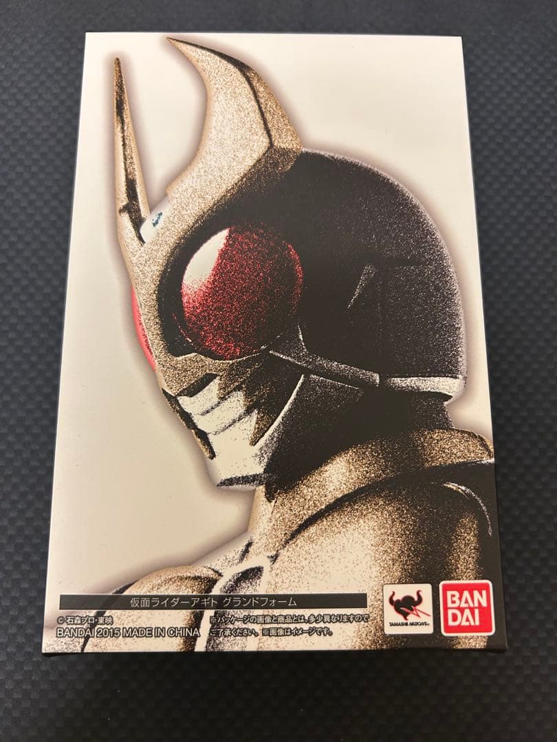 S.H.Figuarts 真骨彫　仮面ライダーアギト