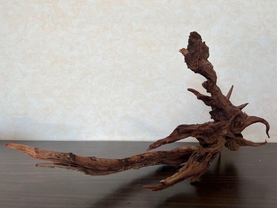 HX-013 流木　ホーンウッド　マシンガンウッド　アクアリウム　ブランチウッド