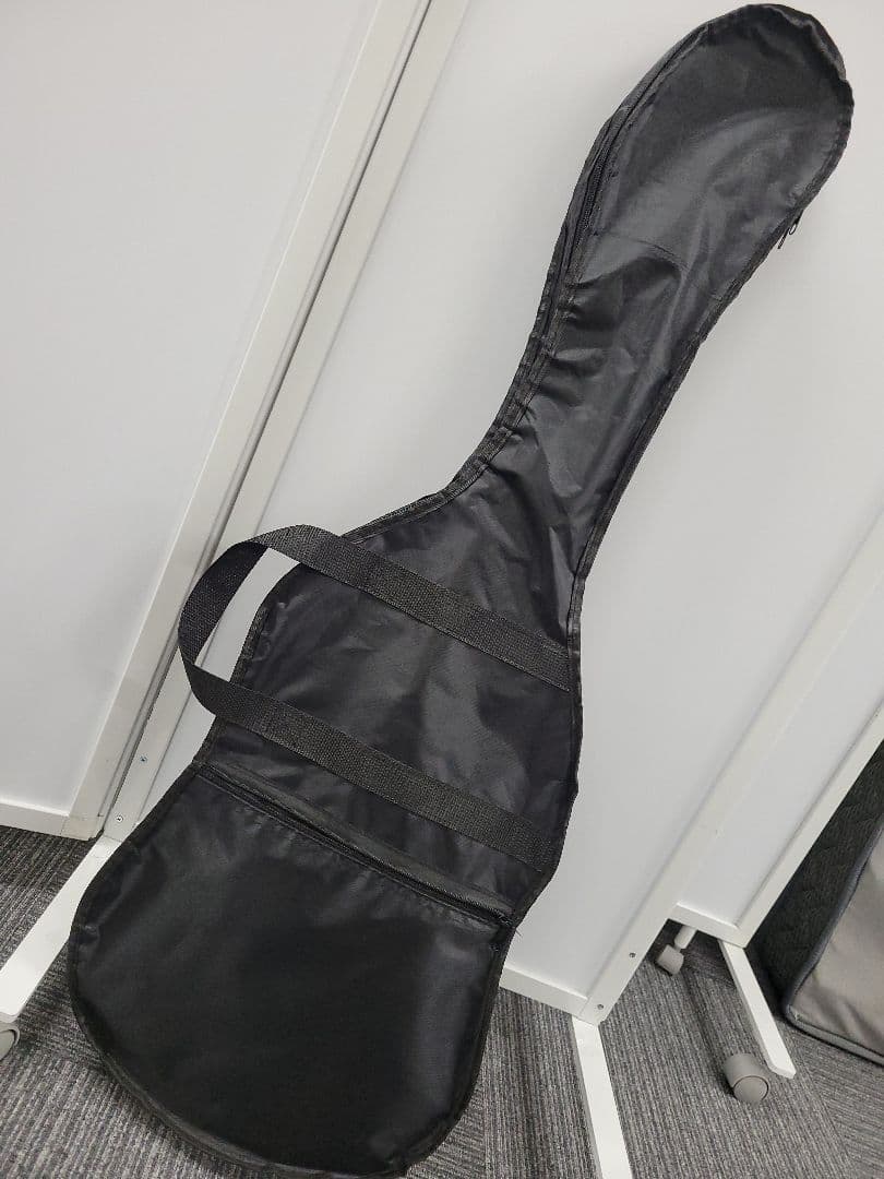 【美品】SELDER エレキギター マットブラック