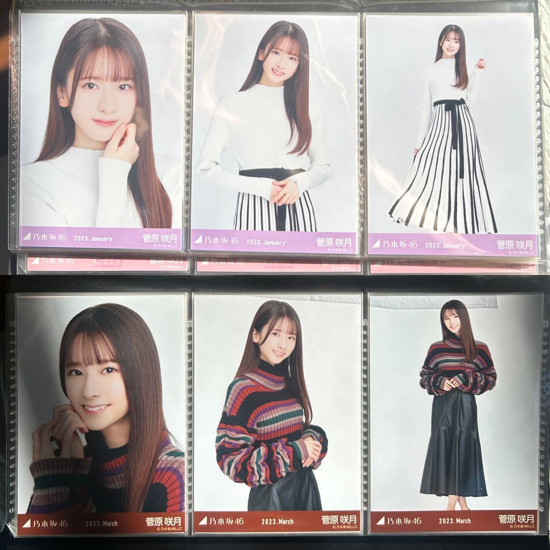 乃木坂46 菅原咲月 2023年月間ランダム 生写真 コンプ 36種 まとめ売り