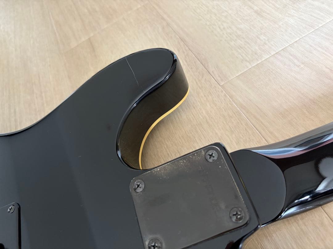 フェルナンデス TEJ-95S サスティナー9V