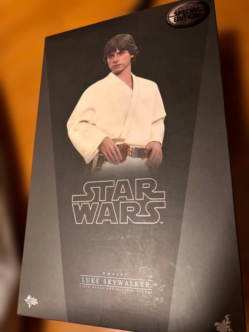トイサピ限定　ルーク・スカイウォーカー ボーナスアクセサリー付きStarWars