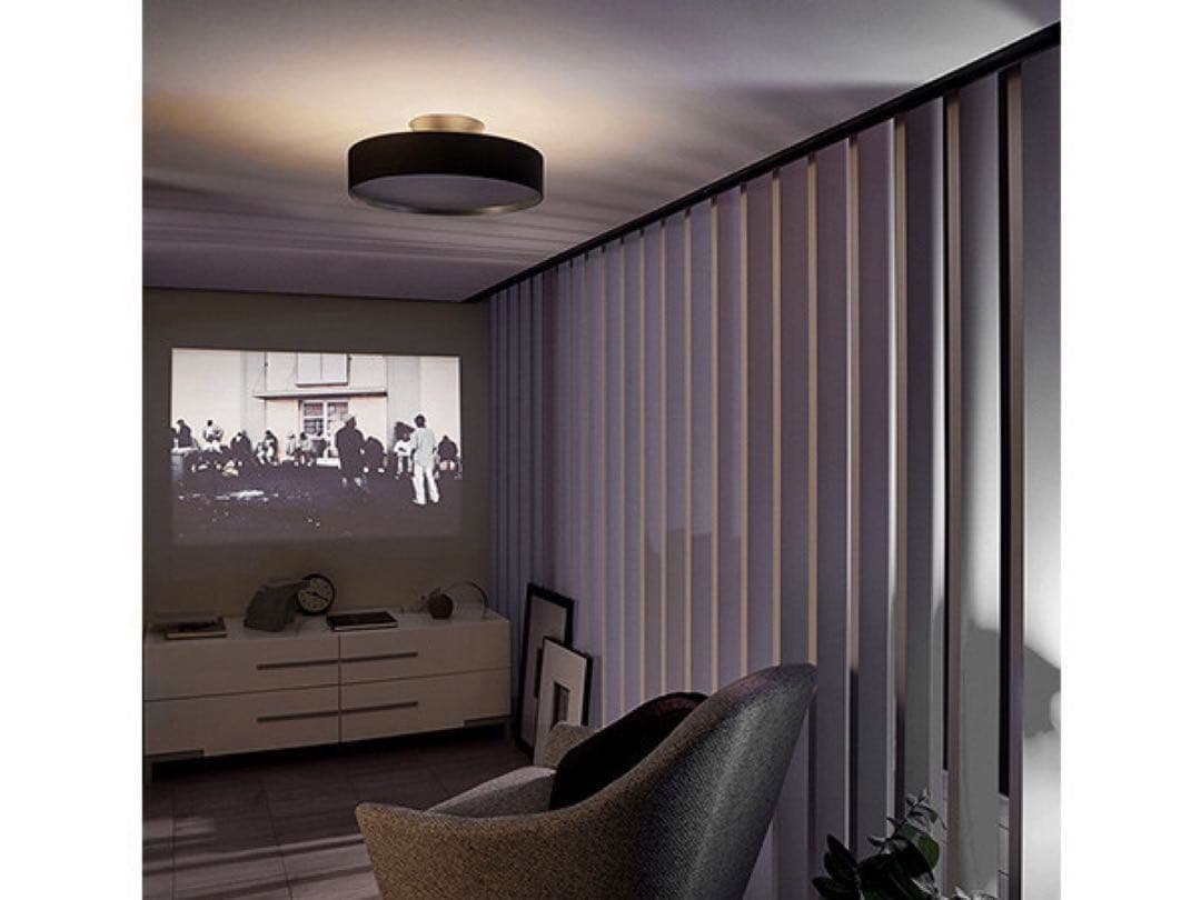 FLYMEe Noir フライミーノワール/ LED Ceiling Lamp