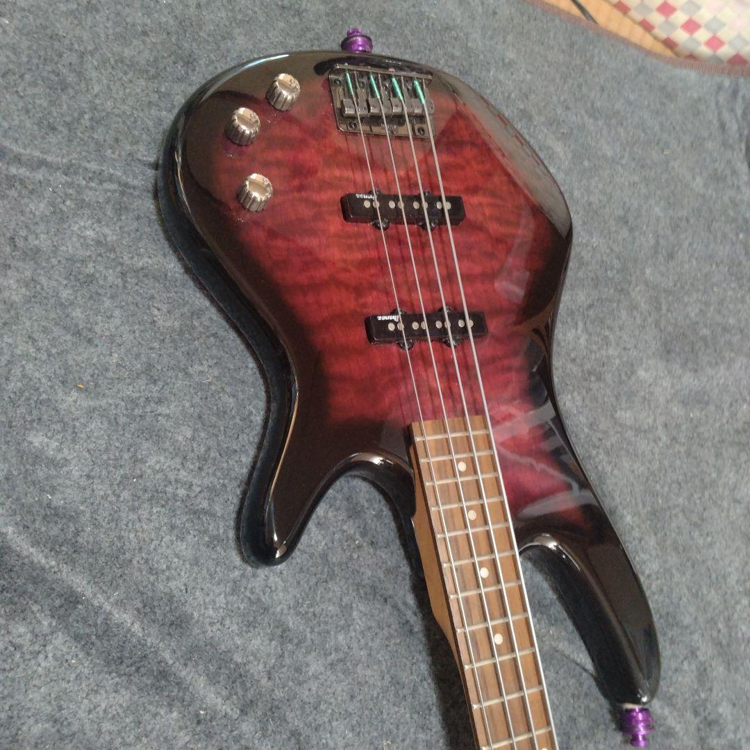 最終価格アイバニーズ gioシリーズ N427