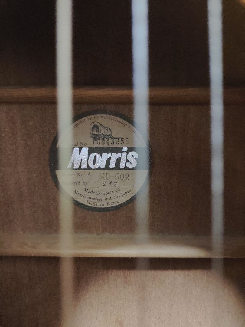 Morris MD502 アコースティックギター