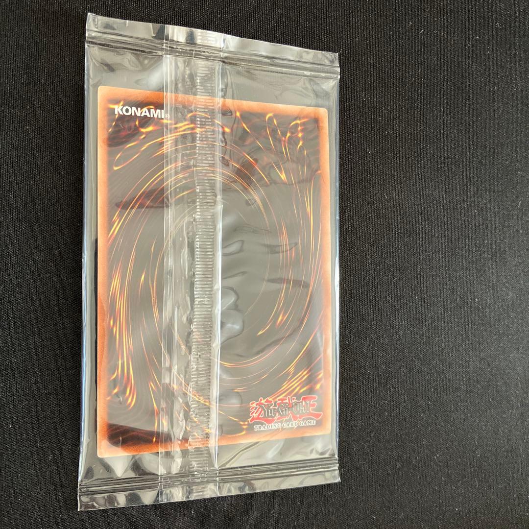 遊戯王カード Noritoshi in Darkest Rainment