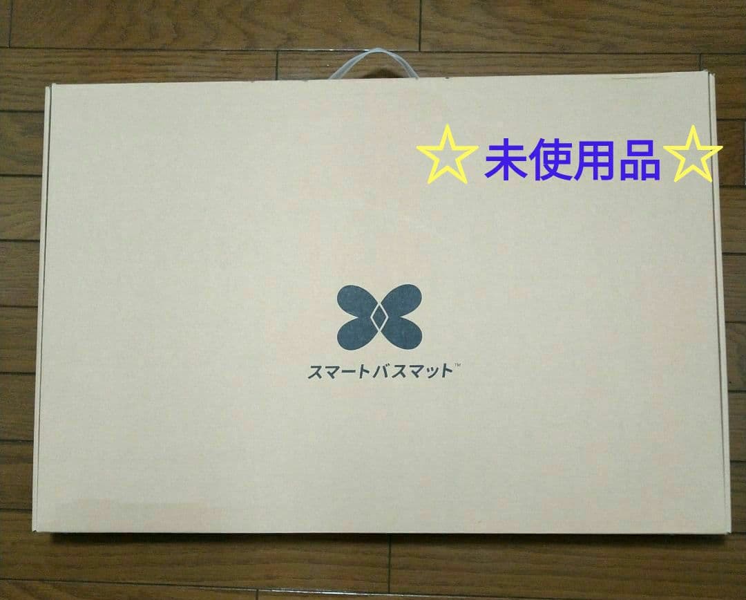 新品未使用☆ issin スマートバスマット ソフト珪藻土マット付き グリーン