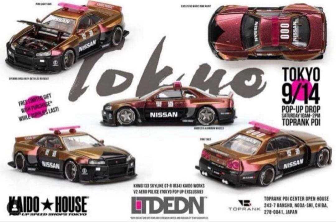 SKYLINE KAIDO HOUSE LTD EDN 街道ハウス　R34