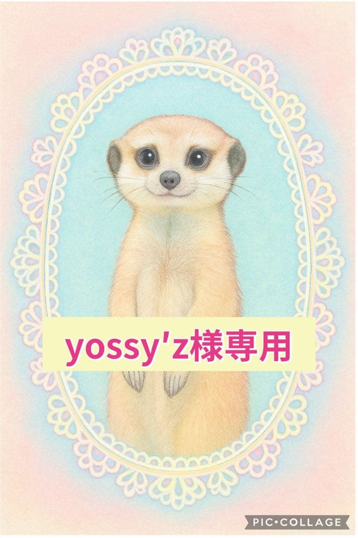 yossy'z様 リクエスト 2点 まとめ商品