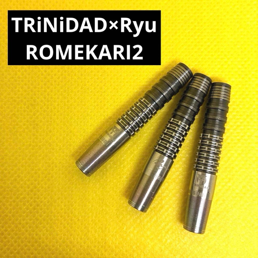 最終値下) TRiNiDAD×Ryu ROMEKARI2 トリニ ダーツ バレル