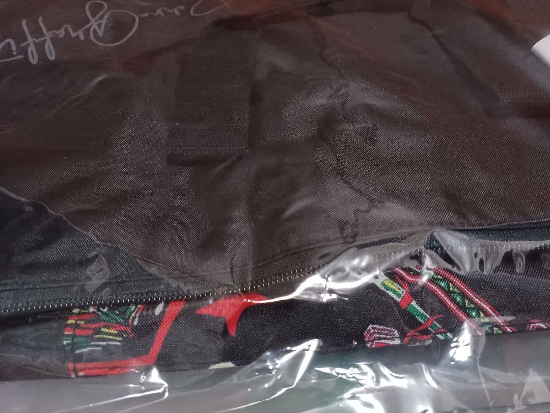 ポルノグラフィティ　ライダース収納バッグ