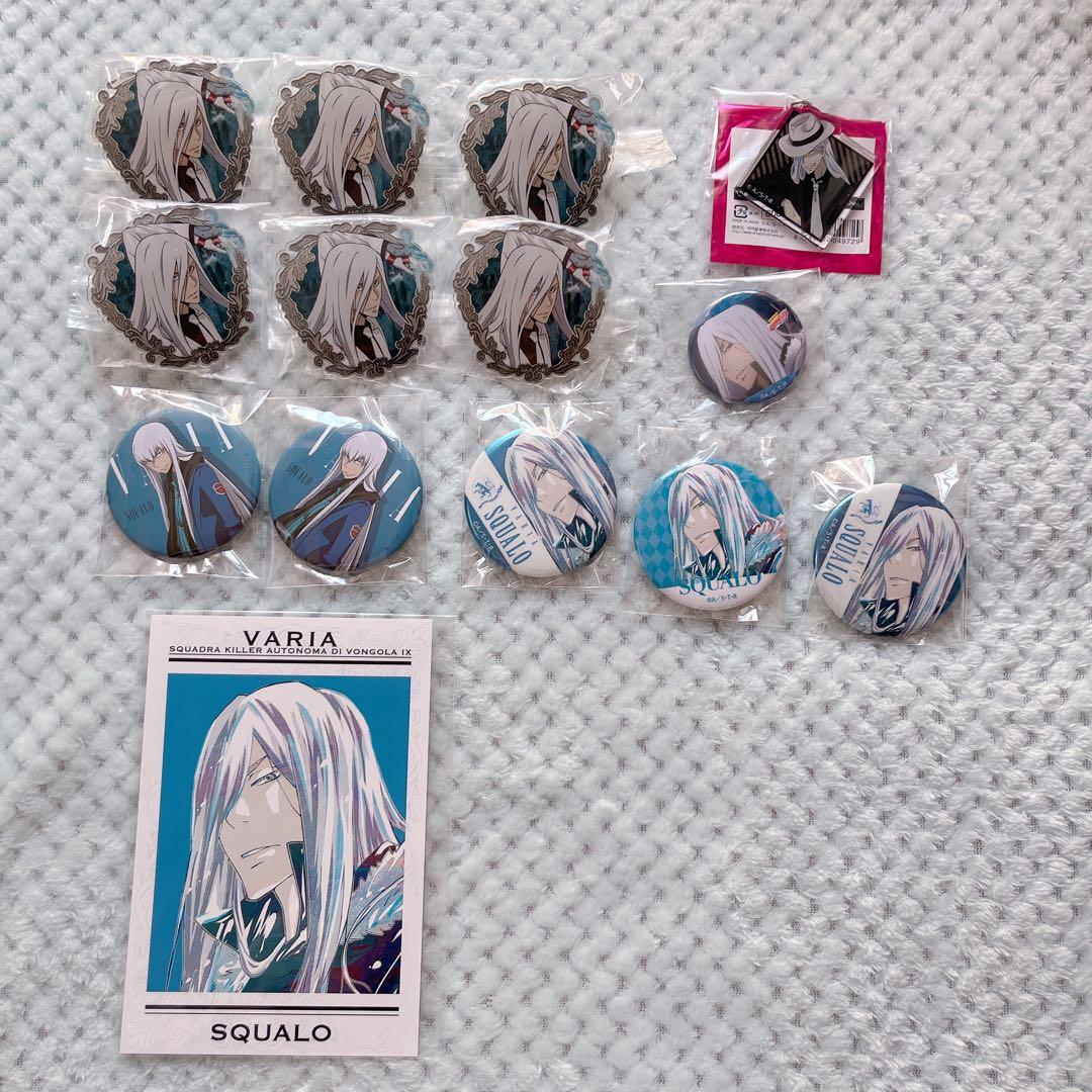 REUNION リボーン スペルビ・スクアーロ