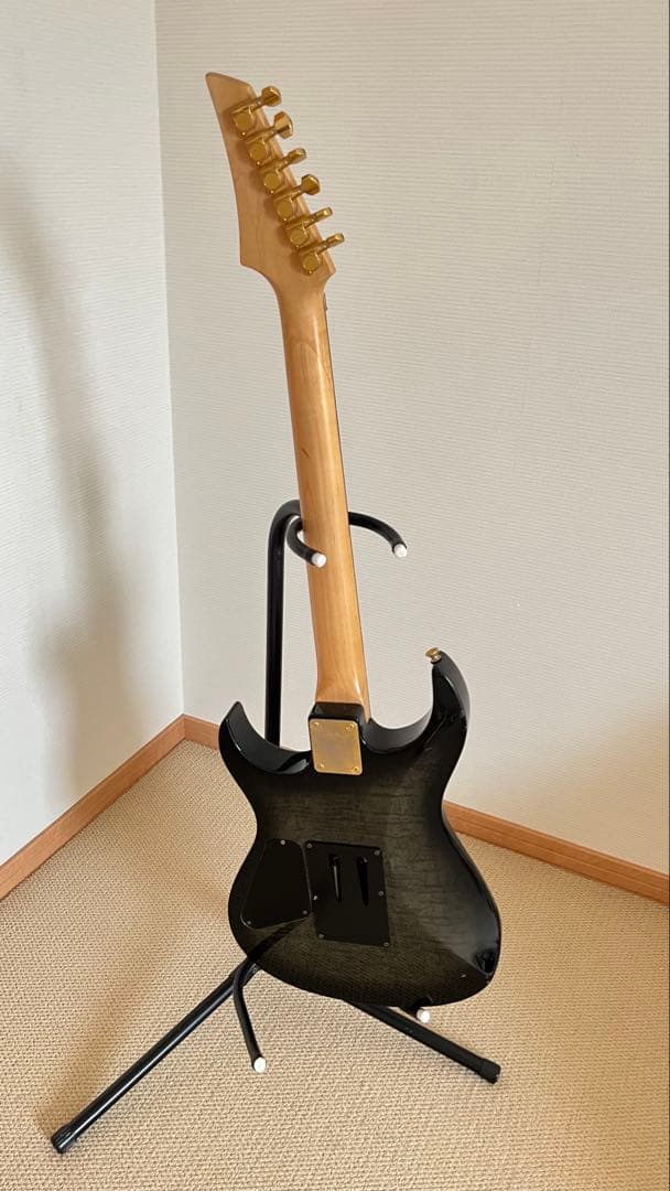 フェルナンデス　FGZ550