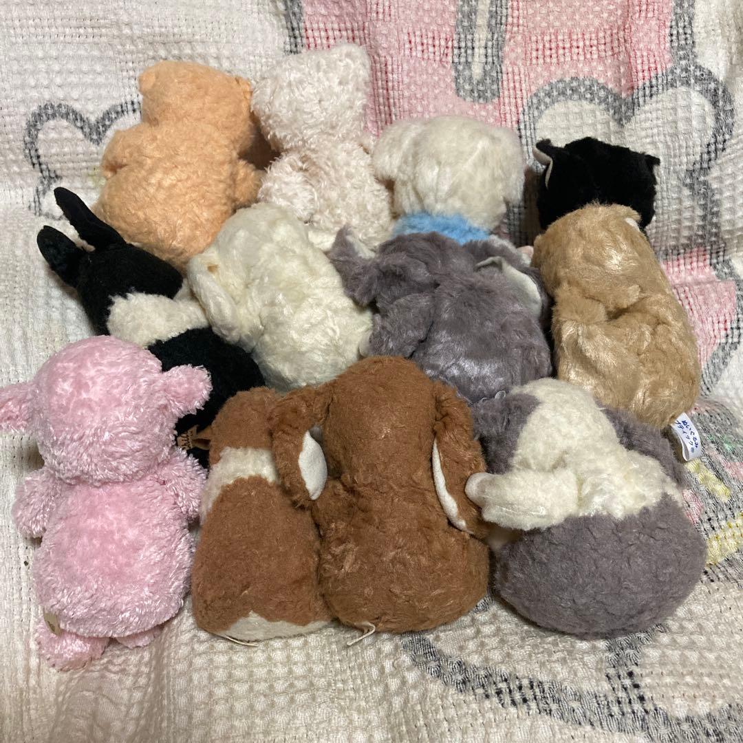 STAR CHILD スターチャイルド　ぬいぐるみ 12こセット 中古品