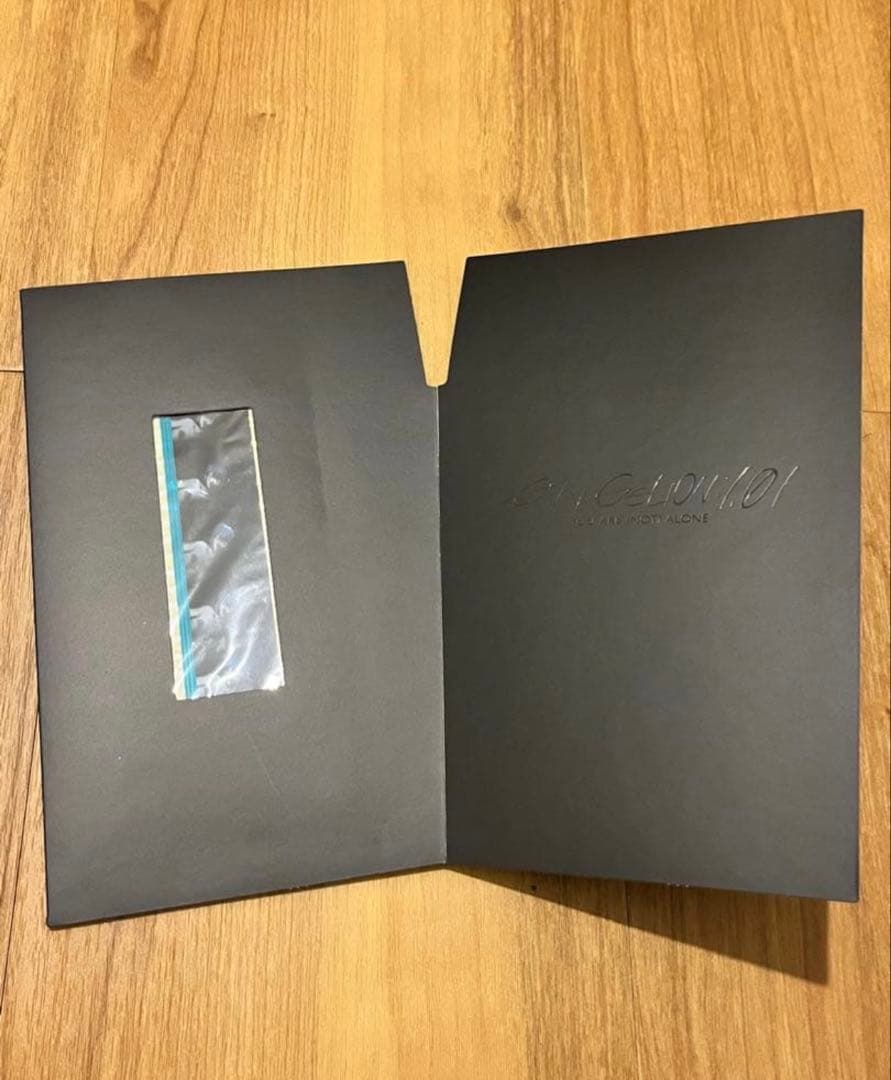 新劇場版　エヴァンゲリオン　序　上映フィルム　綾波レイ②