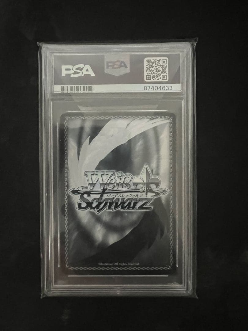 PSA10 はかせ　ヴァイス