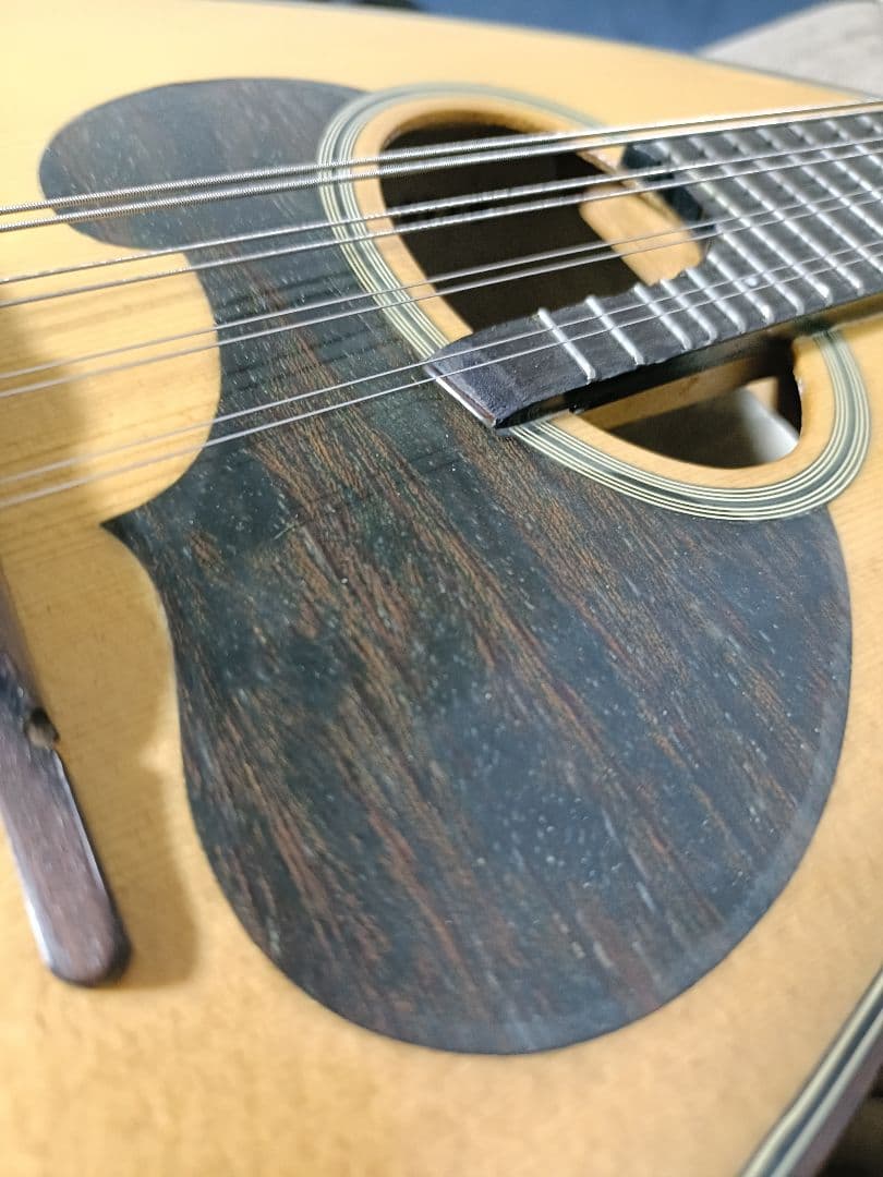 スズキマンドリン M-60 ハードケース付き