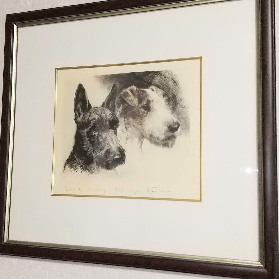 『2匹のテリア犬』ヴィンテージ銅版画  Meyer Eberhardt