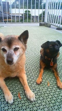 ＡＫＡＲＩさまへ