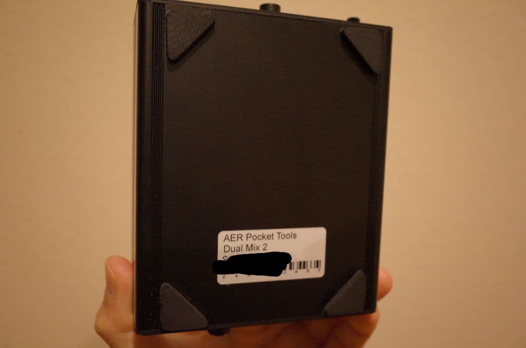 ギター AER dual mix 2