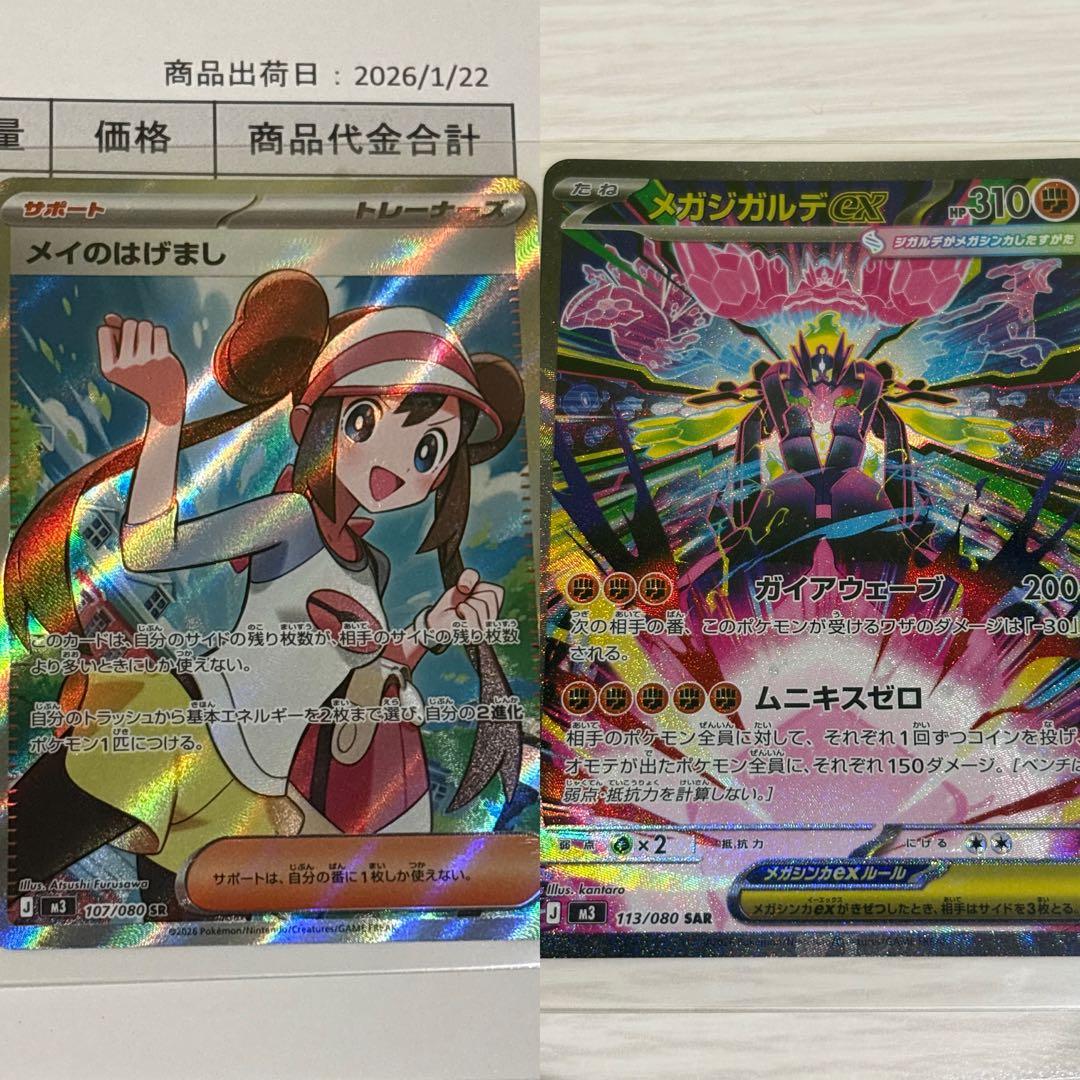 メイのはげまし ガジガルデEX セット