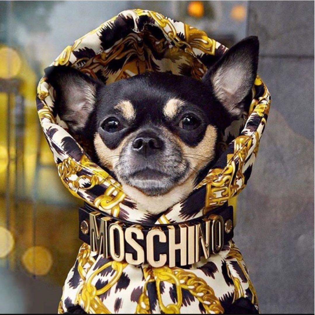 超希少限定販売即完売品  MOSCHINO ドッグ パッデッドジャケット
