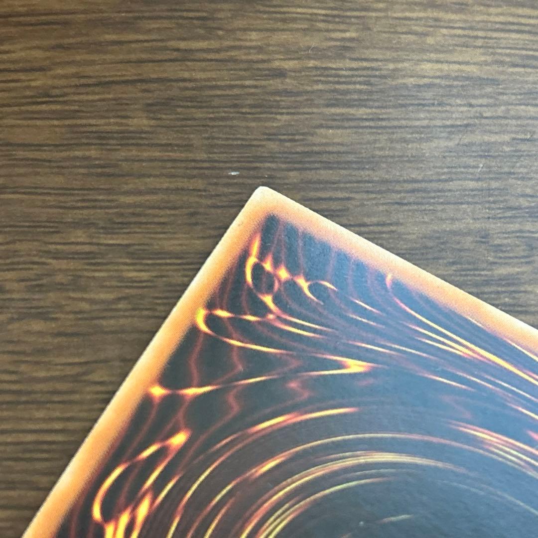 ブラック・ローズ・ドラゴン ホロ