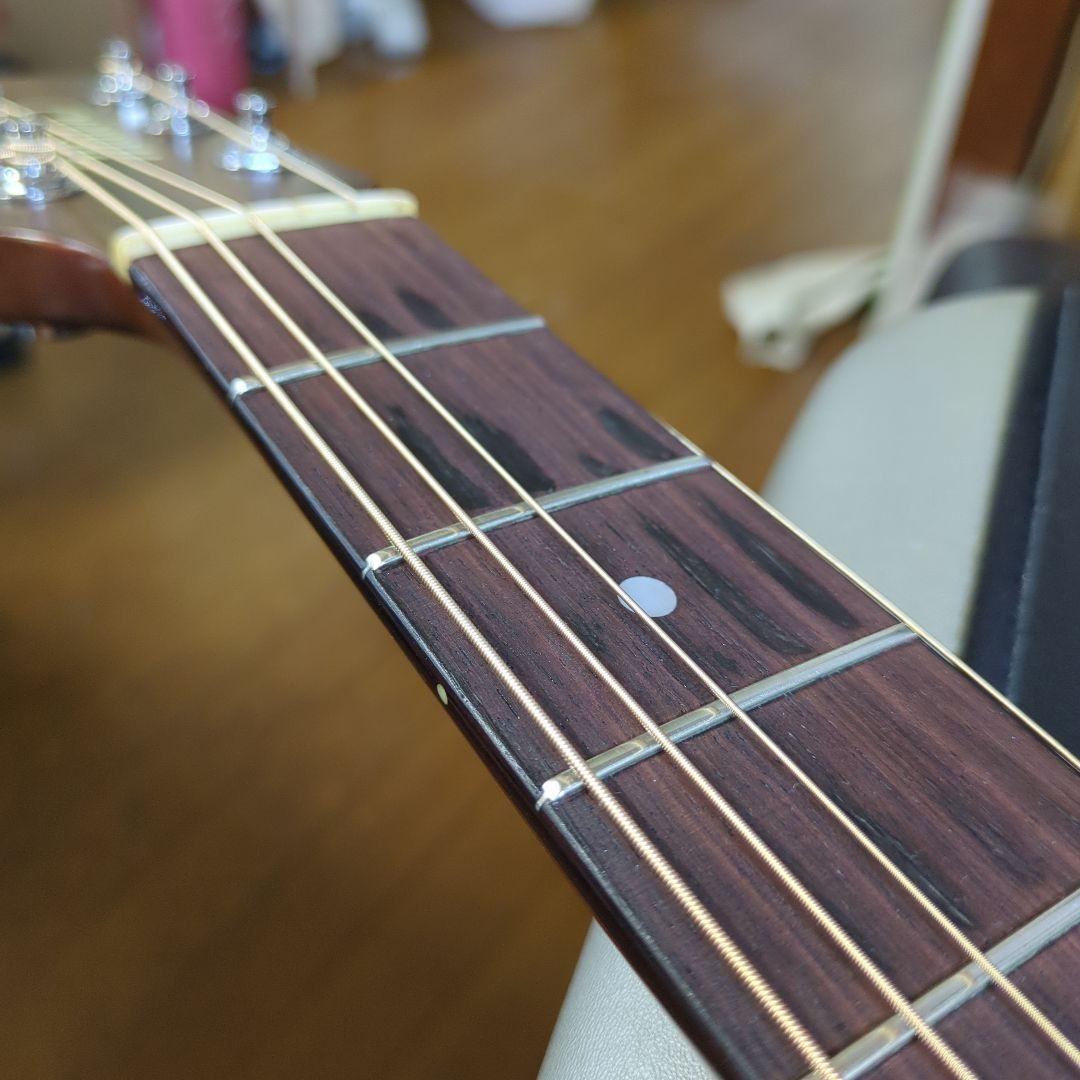 Maton エレアコ. 希少ビンテージ、トレッドノート