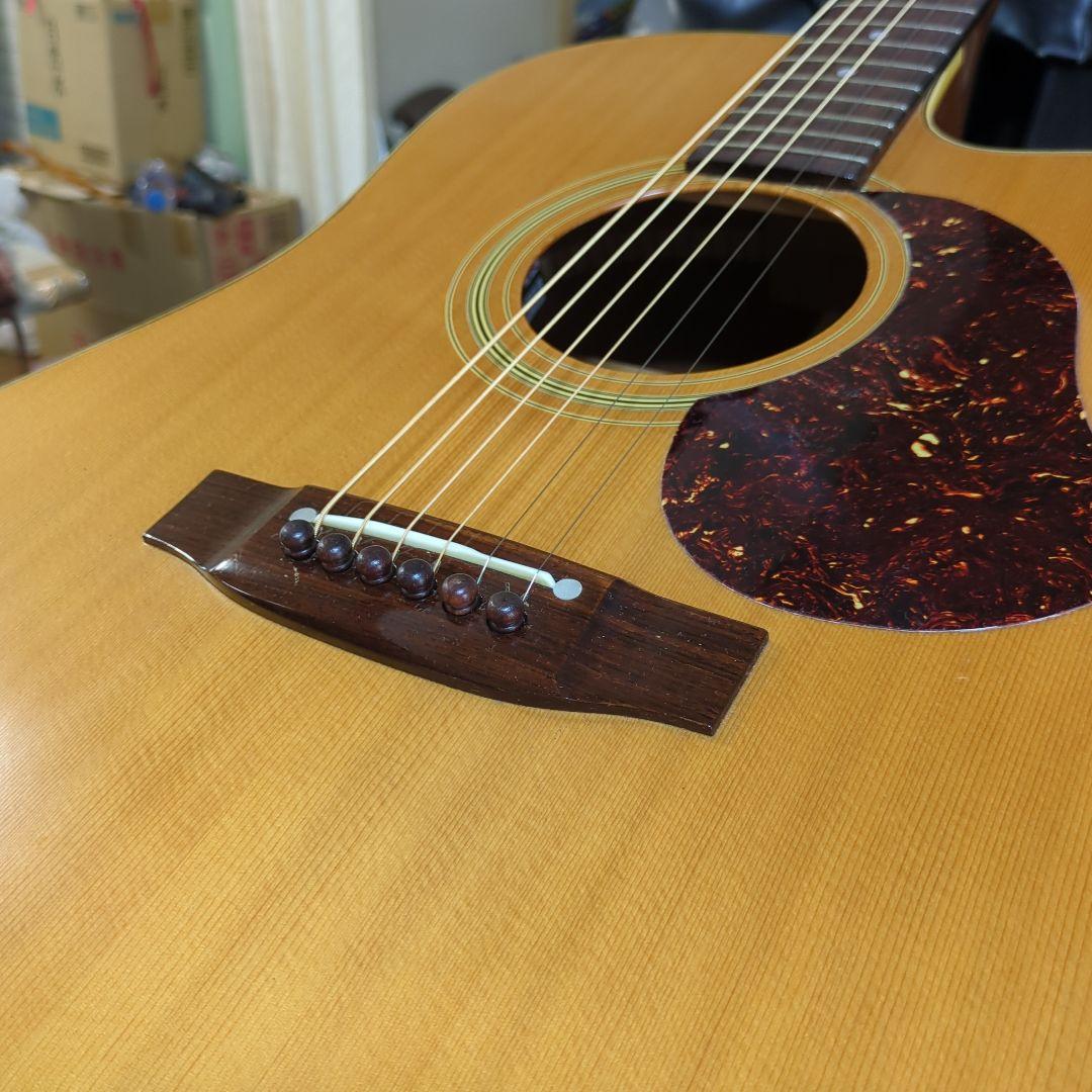 Maton エレアコ. 希少ビンテージ、トレッドノート