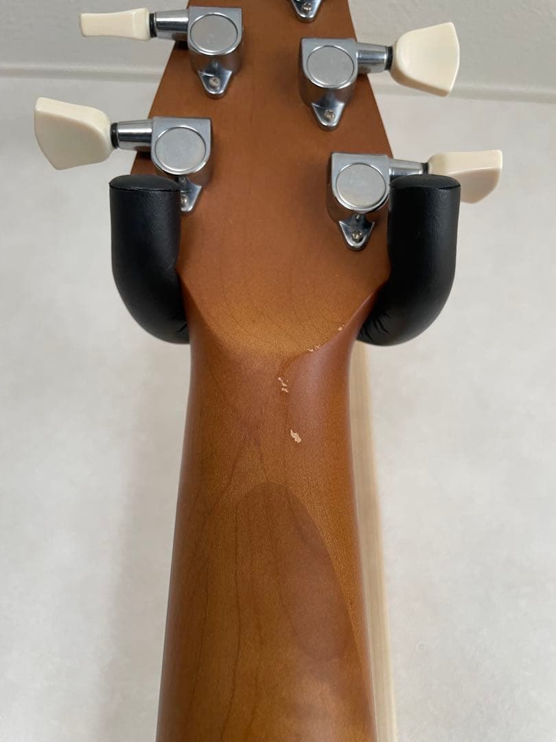 【保証書•純正ソフトケース】RYOGA SKATER/LE LBK